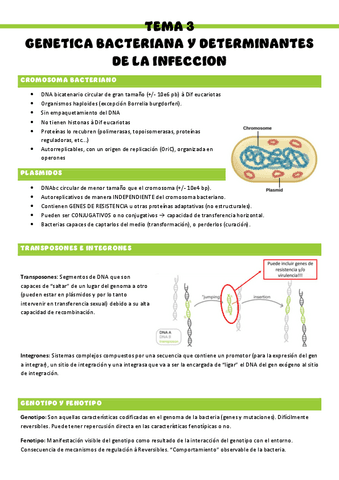 Microbiologia-T3.pdf
