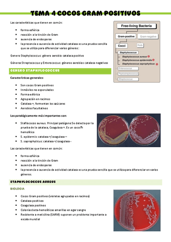 Microbiologia-T4.pdf