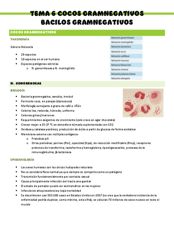 Microbiologia-T6.pdf
