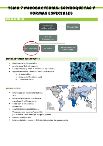 Microbiologia-T7.pdf