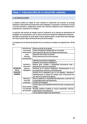 TEMA-7.pdf