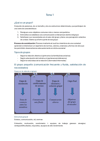 Primer-Parcial-Grupos.pdf