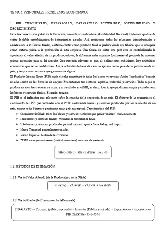 TEMA-2-PRINCIPALES-PROBLEMAS-ECONOMICOS.pdf