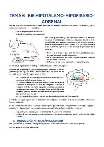 TEMA-6-eje-hipotalamo-hipofisario-adrenal.pdf