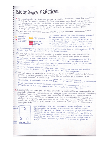 EXAMEN-PRACTICAS-BIOQUIMICA.pdf