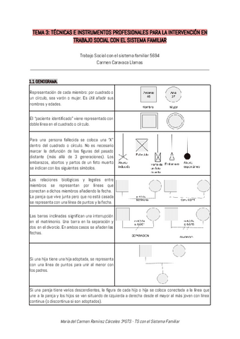 T3TS-con-el-Sist.-Familiar3GTS2024.pdf