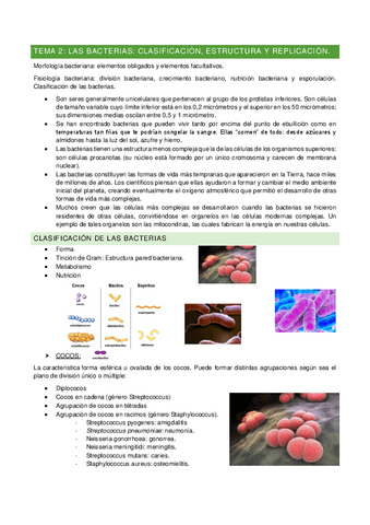 TEMA-2-microbiologia.pdf