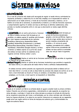 Fisiologia.-Tema-nervioso.pdf