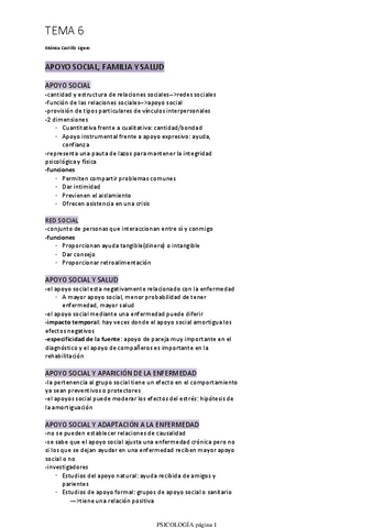 TEMA-6.pdf