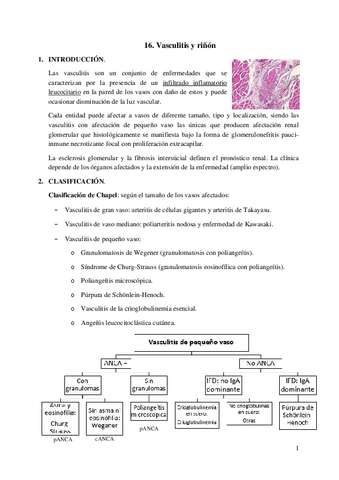 16.-Vasculitis-y-rinon.pdf