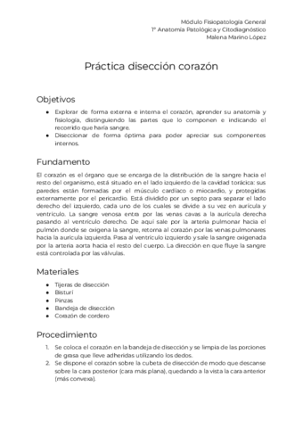 Informe-de-practica.-Diseccion-corazon.pdf