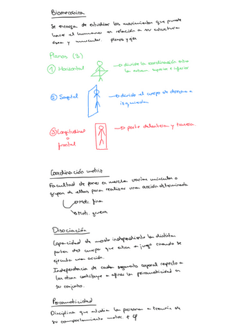 Bapne-Biomecanica-y-lateralidad.pdf