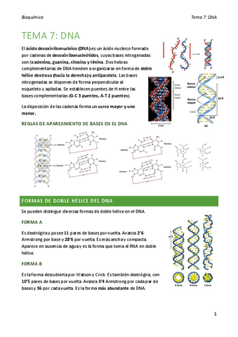bioquimica-tema-7.pdf