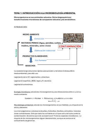 microbiologia.pdf