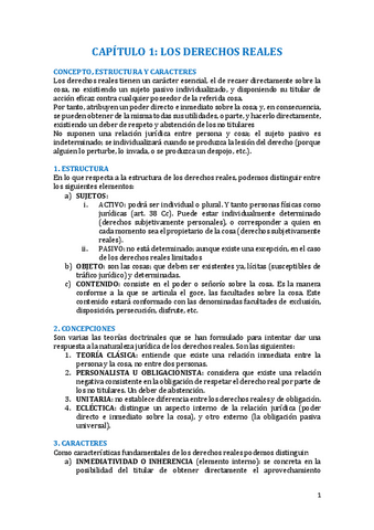 REALES-APUNTES-UNIDOS.pdf