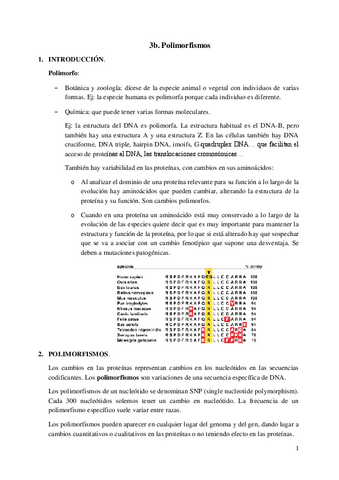 3b.-Polimorfismos.pdf