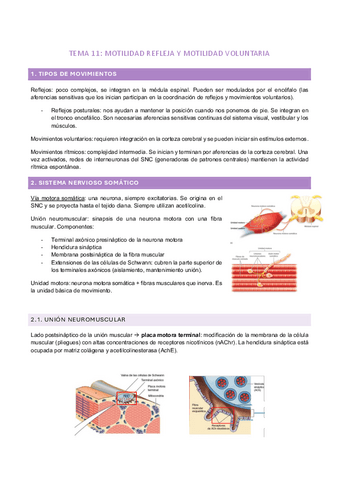 tema-11.pdf