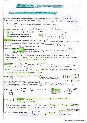 Resumen-componentes-principales.pdf