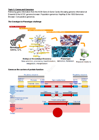 Topic-5-Genes-and-Genomes.pdf