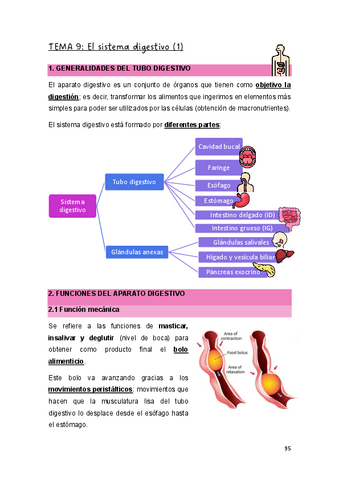 T.9-EYFCHII.pdf