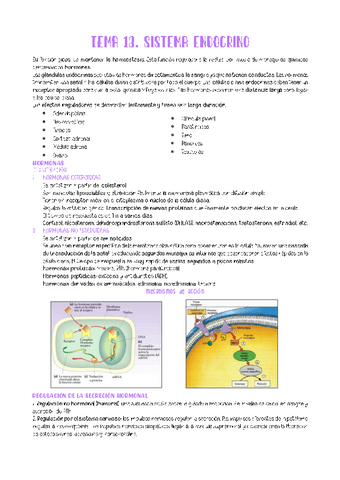 TEMA-13.pdf