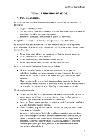 TEMA-1.-PIRNCIPIOS-BASICOS.pdf