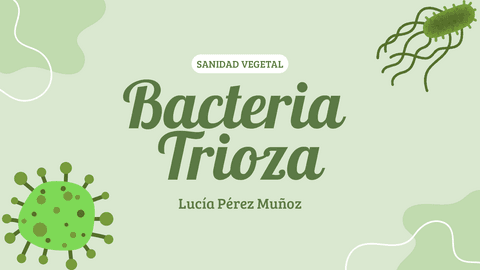 Bacteria-Trioza-Lucia-Perez0.pdf