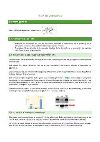 tema-14.pdf