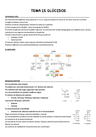 Tema-15.-Glucidos.pdf