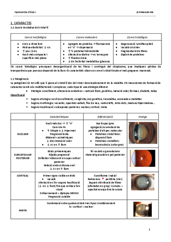 Cataractes.-OC1.pdf