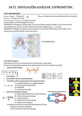S4.-Tema-2.-Ventilacion-alveolar.-difucion.-espirometria.pdf