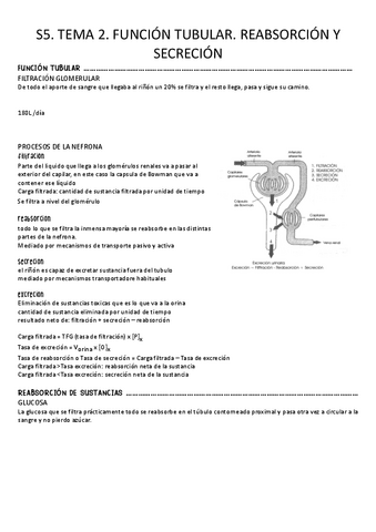 S5.-Tema-2.-Funcion-tubular-reabsorcion-y-secrecion.pdf