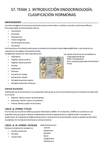 S7.-Tema-1.-Indroduccion-endocrinologia.pdf