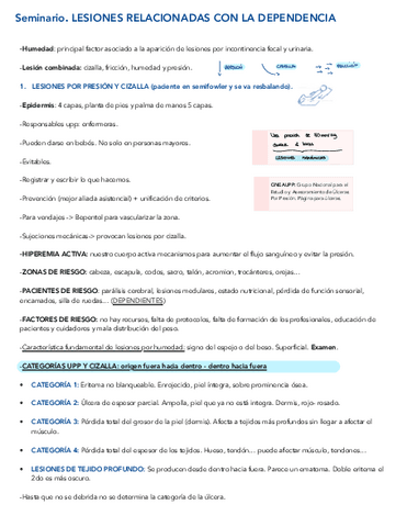 Seminario 3 geriatria.pdf