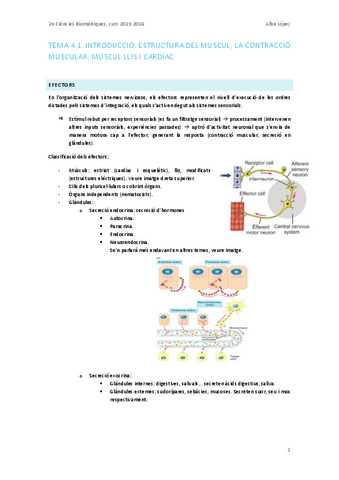 Tema-4.0.-Introduccio.-Estructura-del-muscul-contraccio-muscular-muscul-llis-i-cardiac.pdf