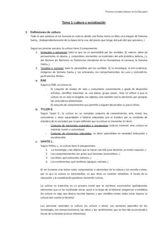 PROCESOS-SOCIALES-TEMA-2.pdf