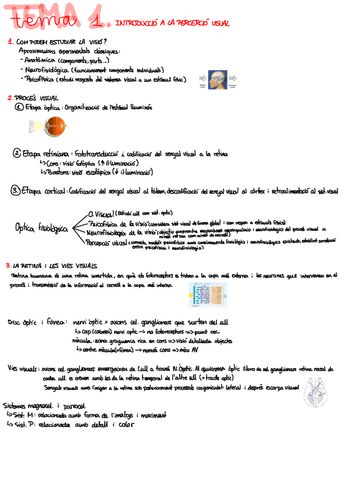 Apunts-1r-Parcial-T.1-T.5.pdf
