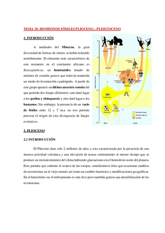 AP-Antropologia-Tema-10-WH.pdf