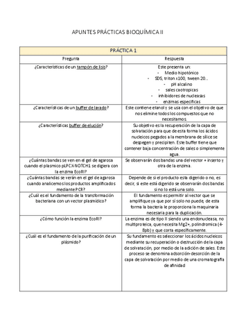 CUESTIONES-PRACTICAS-Y-APUNTES.pdf