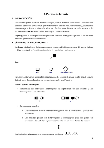 4.-Patrones-de-herencia.pdf