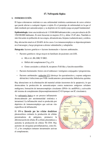 17.-Nefropatia-lupica.pdf
