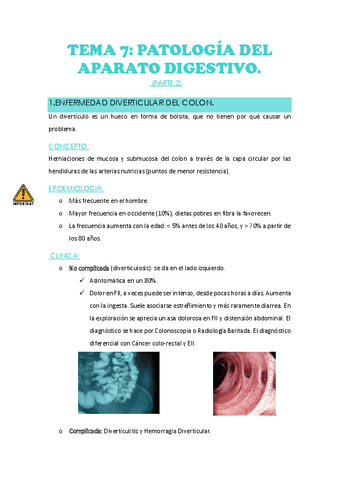 tema-7-parte-2.pdf