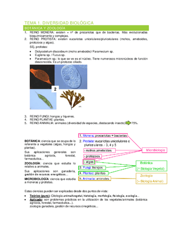 TEMA-1.-DIVERSIDAD-BIOLOGICA-resumen.pdf