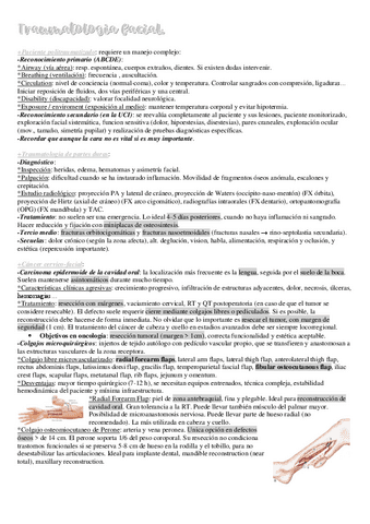 24.-Traumatologia-facial.pdf
