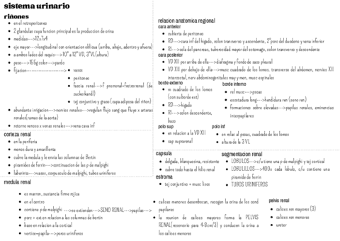 sistema-urinario-1.pdf