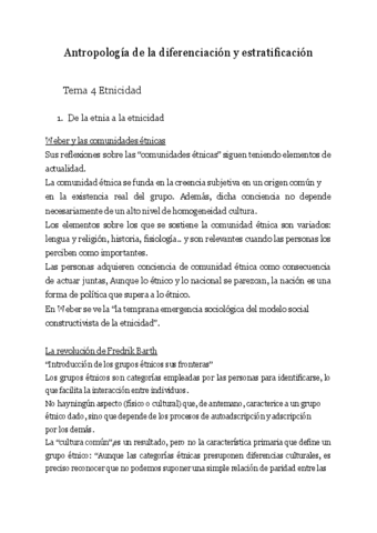 tema-4-etnicidad.pdf