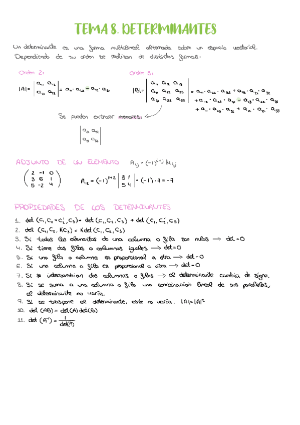 Determinantes EVAU.pdf