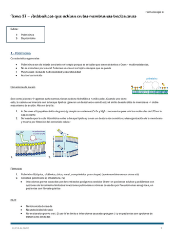 T27-farm-iii.pdf