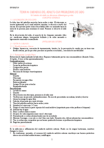 Tema-14.pdf