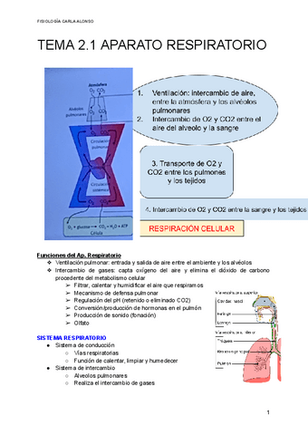 TEMA-2.1-APARATO-RESPIRATORIO.pdf